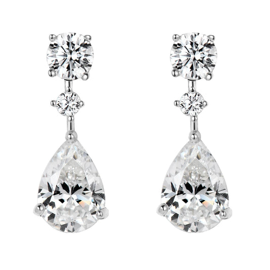 S Hanging Earrings
